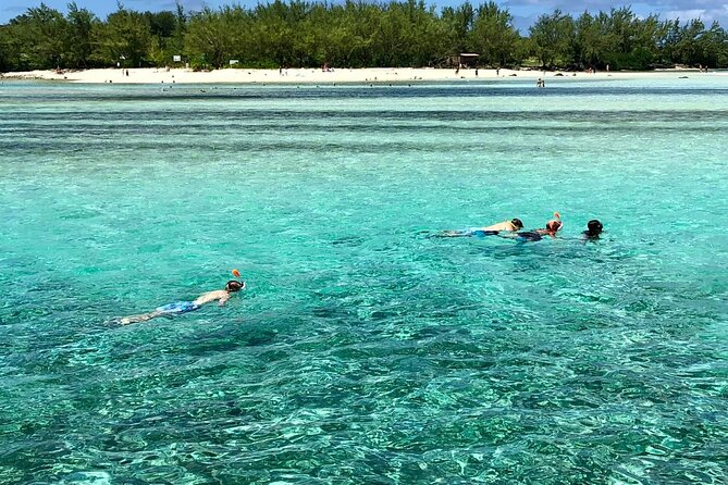 All inclusive CATAMARAN with BBQ : Ile aux cerf & GRSE waterfall - Snorkeling is included, but time can vary