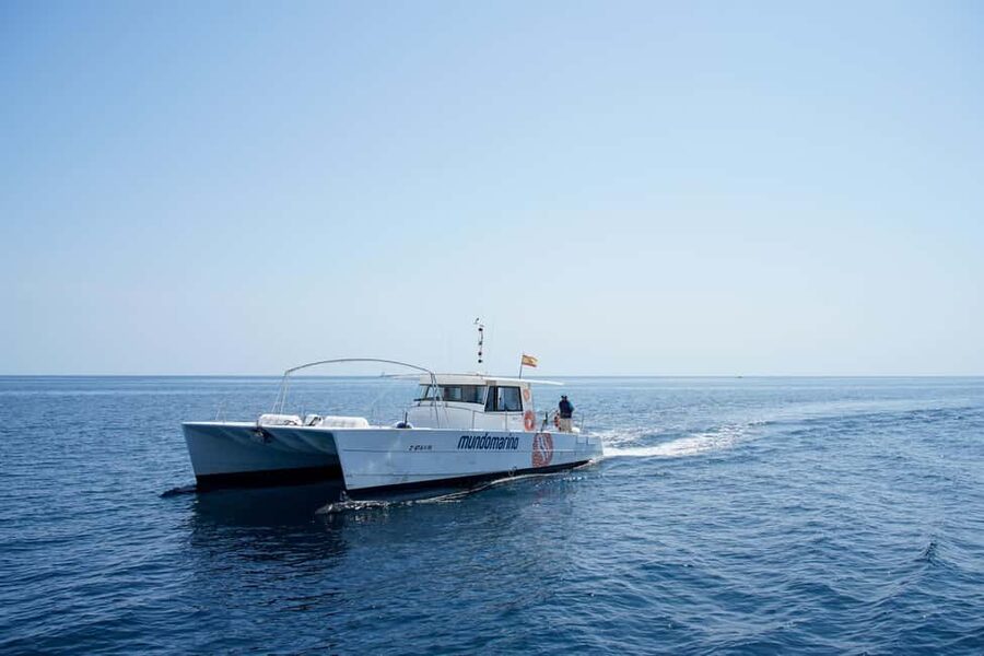 Altea: Motor Catamaran Boat Tour with Sunset Option - What the route gives you, and what it does not
