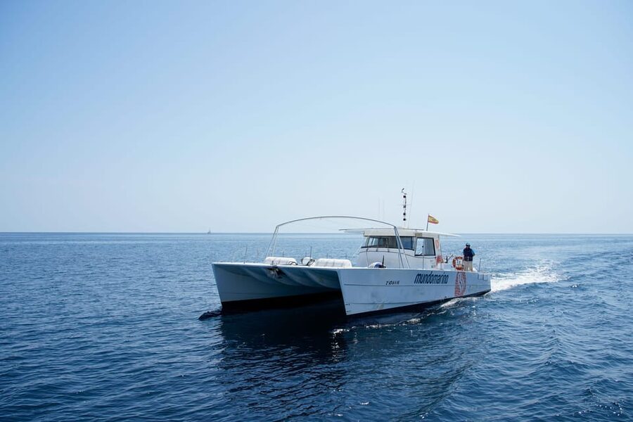 Altea: Motor catamaran with optional lunch and swimming stop - The Bay of Albir swim stop