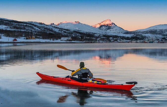 Arctic Fjordcruise & Safari in Tromso with Luxury Catamaran - Key points to know before booking