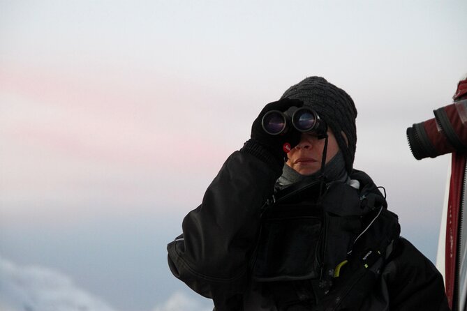Arctic Fjordcruise & Safari in Tromso with Luxury Catamaran - Fishing, hot drinks, and time on deck