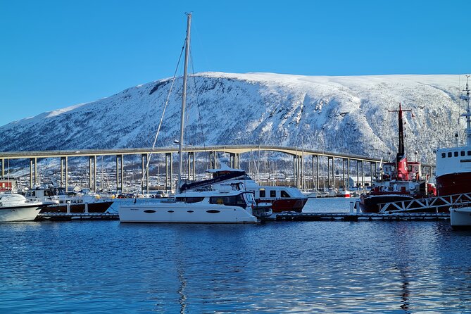 Arctic Fjordcruise & Safari in Tromso with Luxury Catamaran - Weather, cancellations, and communication