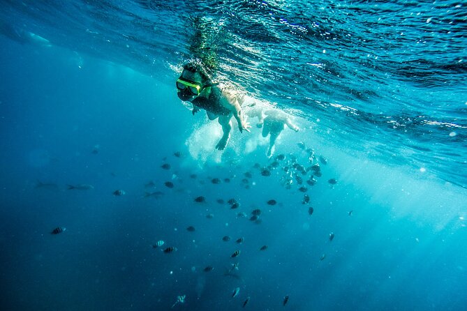 Aruba Afternoon Snorkel Sail aboard Palm Pleasure Catamaran - The open bar and snacks make the afternoon easier