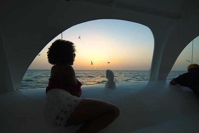Aruba Sunset Sail Cruise Aboard The Dolphin Catamaran - Practical Concerns: Boarding, Comfort, and Weather