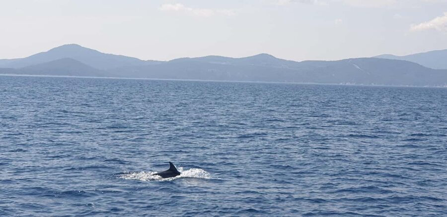 Athens Riviera Private Catamaran Cruise with Meal and Drinks - Swimming and snorkeling at Vouliagmeni