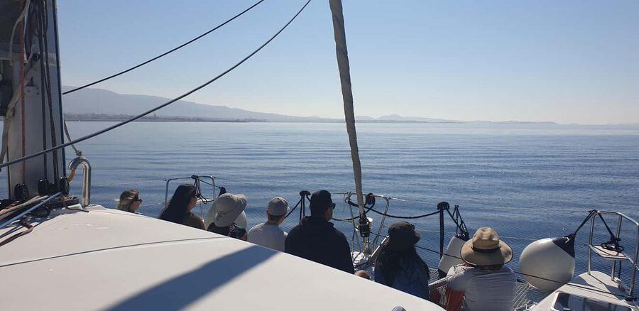 Athens Riviera Private Catamaran Cruise with Meal and Drinks - Food, drinks, and the mood onboard