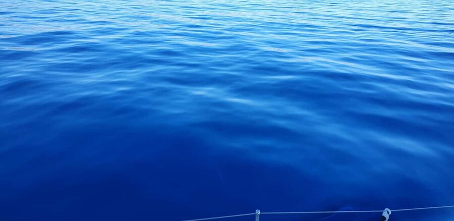 Athens Riviera Private Catamaran Cruise with Meal and Drinks - Who will enjoy this catamaran cruise?