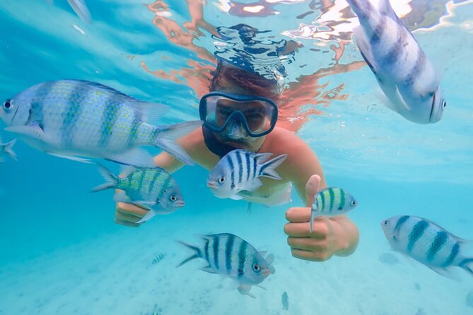 Bacardi Island Excursion with Catamaran, Beach and Lunch - Why Cayo Levantado Makes the Long Day Worthwhile