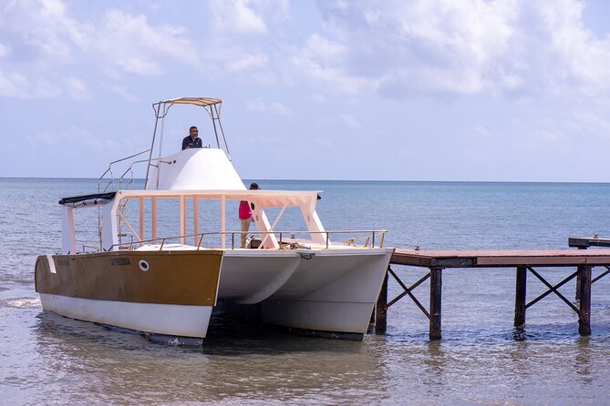 Bacardi Island Excursion with Catamaran, Beach and Lunch - Buffet Lunch and the Two-Drink Allowance
