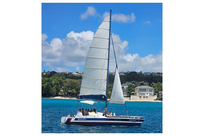 Barbados Catamaran Snorkel Cruise with Lunch and Open Bar - Who will enjoy this cruise most?