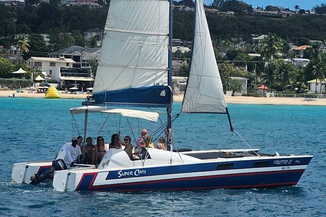 Barbados Catamaran Snorkel Cruise with Open Bar - What the turtle stop offers