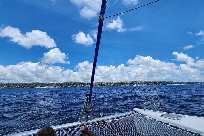 Barbados Catamaran Snorkeling Turtle and Shipwrecks tour - What the $110 price really covers