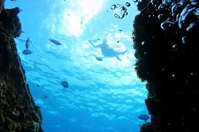 Barbados Catamaran Snorkeling Turtle and Shipwrecks tour - Who will enjoy this catamaran trip most