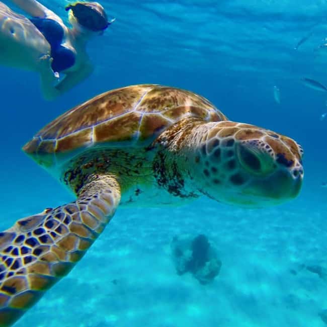 Barbados: Catamaran Tour with Snorkeling and Lunch - Sailing north along Barbadoss west coast