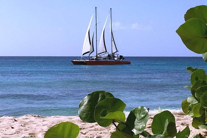 Barbados Catamaran Turtle and Shipwreck Snorkeling Cruise - Food, drinks, and the onboard mood