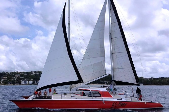 Barbados Catamaran Turtle and Shipwreck Snorkeling Cruise - Who should book this Barbados cruise?
