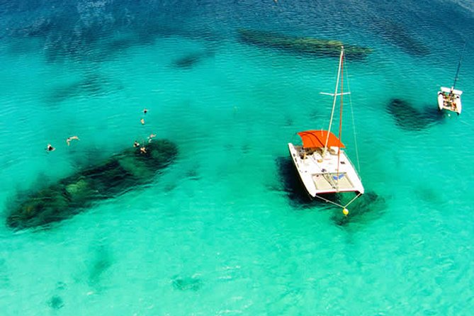 Barbados Catamaran Turtle Snorkel with Lunch and Open Bar - Key points at a glance