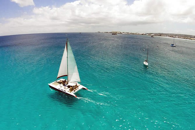 Barbados Catamaran Turtle Snorkel with Lunch and Open Bar - What the west-coast sail adds