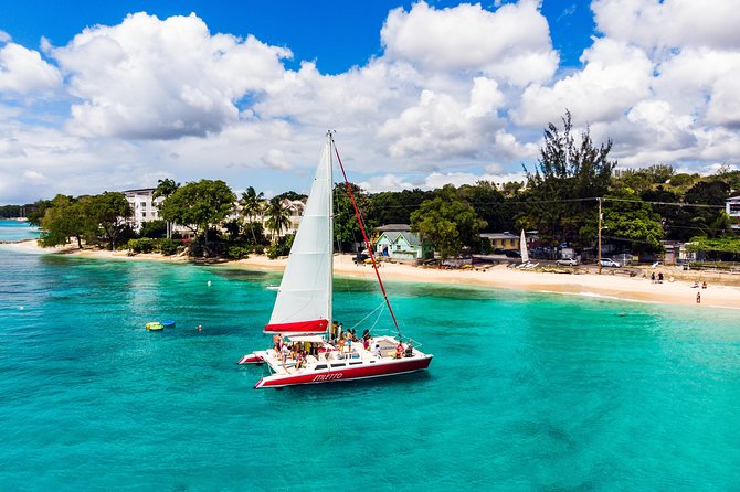 Barbados Catamaran Turtle Snorkel with Lunch and Open Bar - Who should book this catamaran trip?