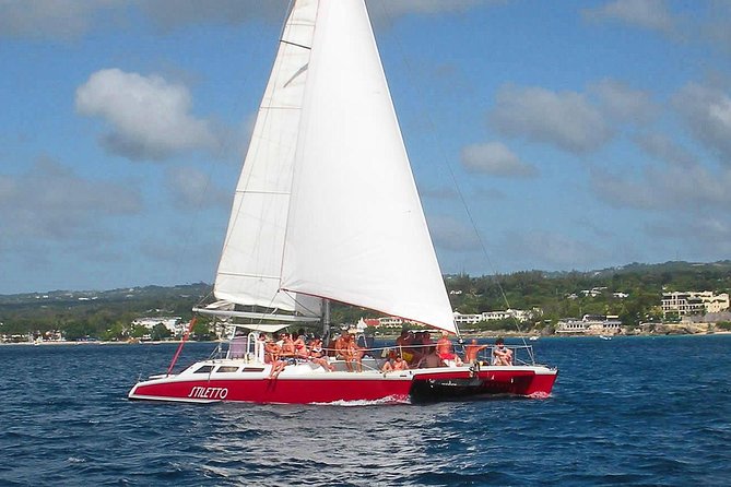 Barbados Catamaran Turtle Snorkel with Lunch and Open Bar - The Stiletto keeps the group manageable
