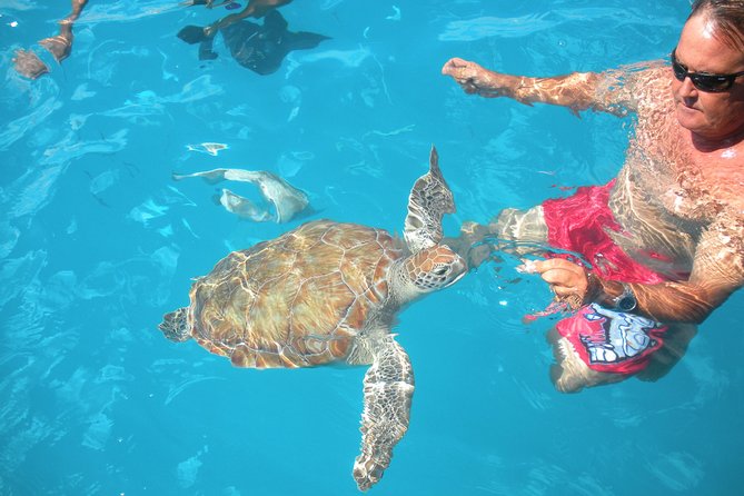 Barbados Catamaran Turtle Snorkel with Open Bar - A three-hour morning on the Stiletto