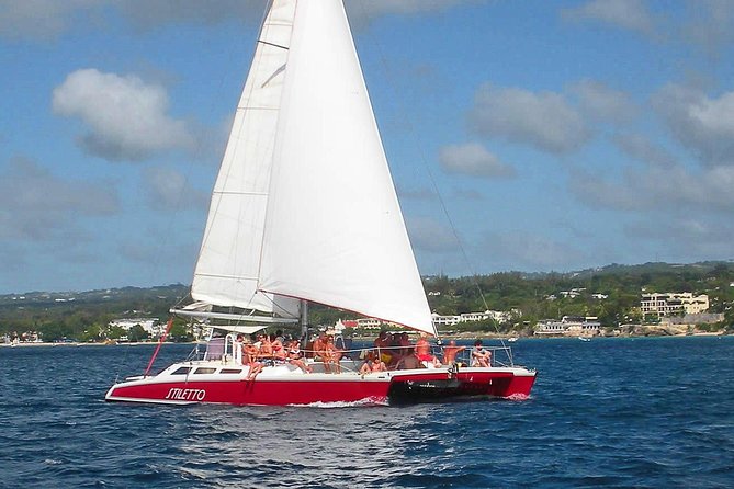 Barbados Catamaran Turtle Snorkel with Open Bar - Carlisle Bay and the sea turtles