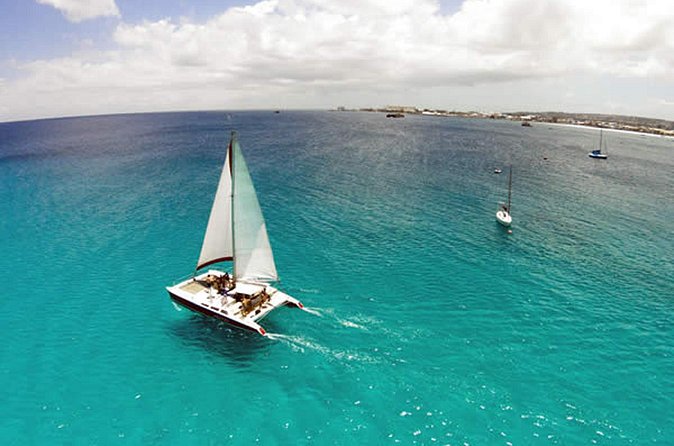 Barbados Catamaran Turtle Snorkel with Open Bar - Shipwrecks, fish, and the second snorkel stop