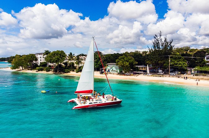 Barbados Catamaran Turtle Snorkel with Open Bar - Who will enjoy this Barbados cruise?