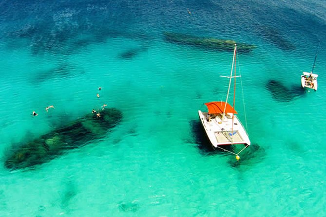 Barbados Catamaran Turtle Snorkel with Open Bar - Practical details for a smooth morning