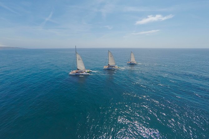Barcelona Catamaran Party Tour For Young People - What kind of Barcelona cruise is this?