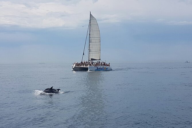 Barcelona Catamaran Party Tour For Young People - The swimming stop near Badalona