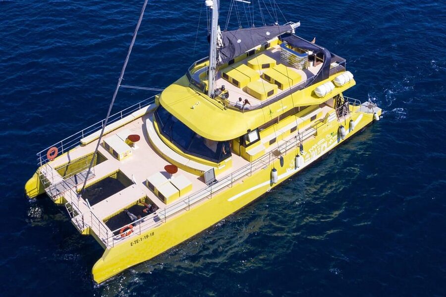 Barcelona: Daytime or Sunset Catamaran Cruise with Music - Key points to know before booking