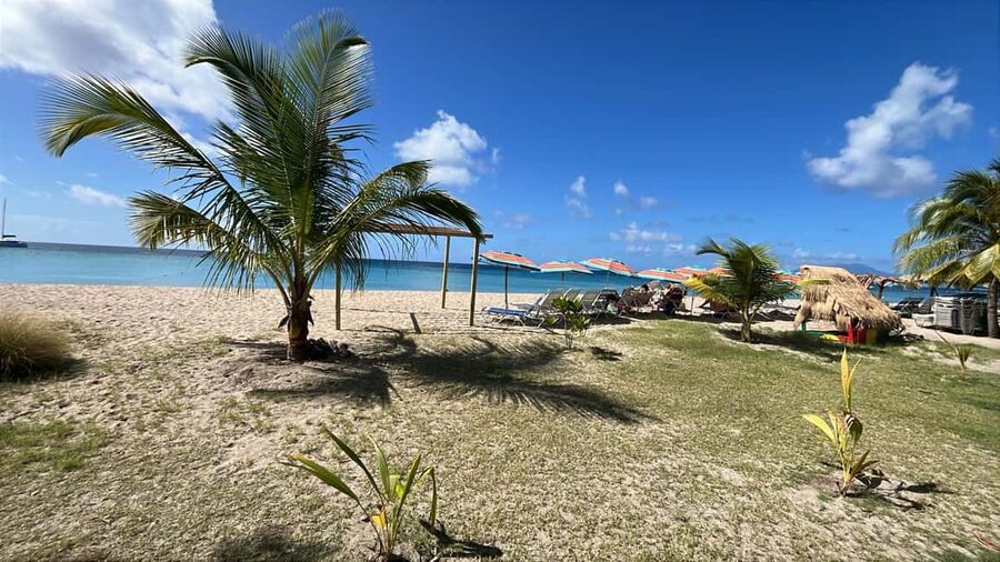 Basseterre: St. Kitts and Nevis Catamaran Tour with Lunch - Practical tips for a smoother day