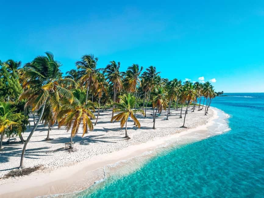 Bayahibe: Saona Island Catamaran Cruise with Natural Pool - Two and a half hours on Saona Island