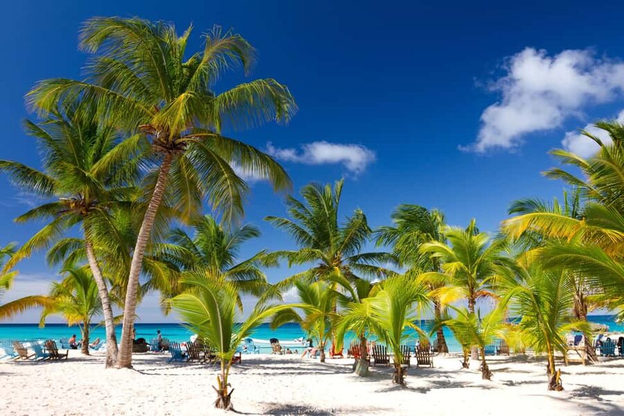 Bayahibe: Saona Island Sailing in catamaran with open bar - Key points before you book