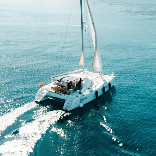 Benalmádena: Catamaran with dolphin watching and drinks - Key points to know before you book