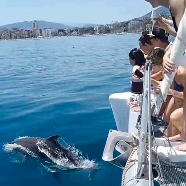 Benalmádena: Catamaran with dolphin watching and drinks - Watching the water for dolphins