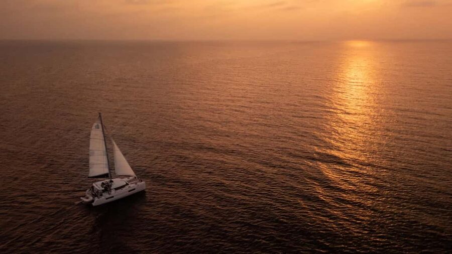 Benalmádena: Catamaran with dolphin watching and drinks - Snacks, cava, and the onboard fridge