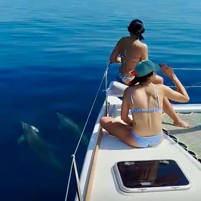 Benalmádena: Catamaran with dolphin watching and drinks - What the private catamaran setup means