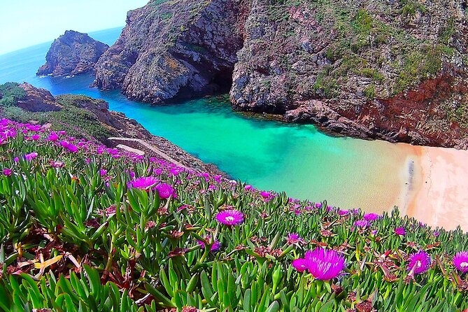 Berlengas Island Catamaran Tour - Round Trip - Three hours to explore Berlenga