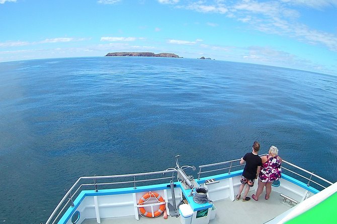 Berlengas Island Catamaran Tour - Round Trip - Weather can change the experience