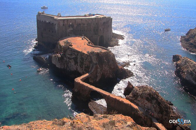 Berlengas Island Catamaran Tour - Round Trip - A closer look at the multimedia app