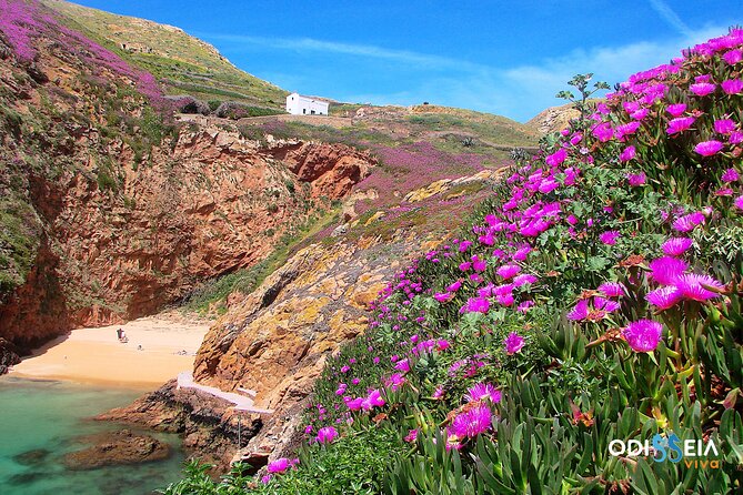 Berlengas Island Catamaran Tour - Round Trip - Who will enjoy this Berlengas trip