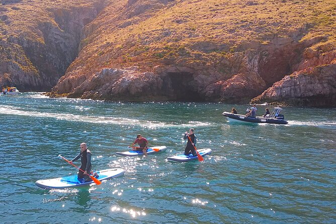 Berlengas Island Catamaran Tour + SUP - Timing, Group Size, and Access