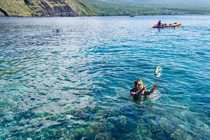 Big Island: Captain Cook Snorkel On A Power Catamaran With Lunch - Leaving Honokohau Marina for the Kona coast