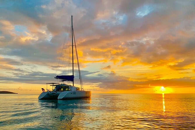 Bimini Charters - Private 3hr Catamaran Charters, Sail & Snorkel - Wildlife possibilities around the boat