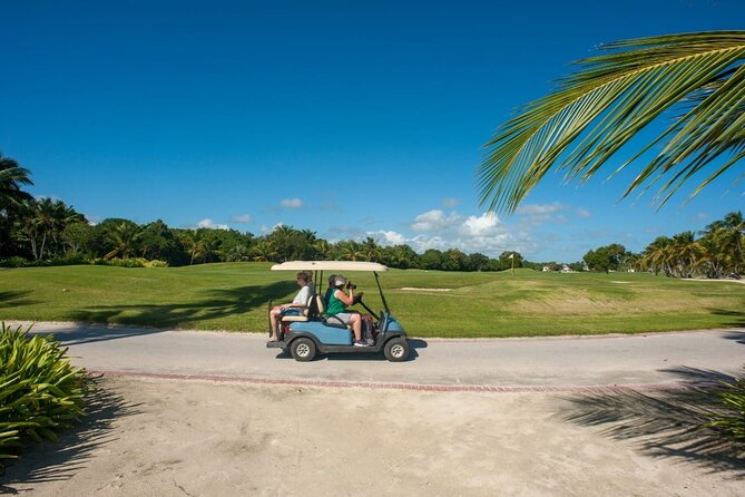 Blue Lagoon Tour with Catamaran Cruise and Snorkeling - Swimming with small turtles at Ojos Indígenas Cenote