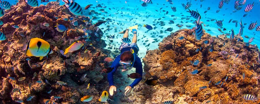 Bora Bora: Half Day Catamaran Sailing & Snorkelling - Sailing close to Mount Otemanu and the reef