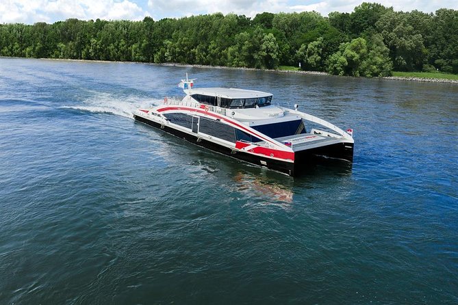 Bratislava Day Trip from Vienna With Catamaran Cruise on Danube - Six hours to make the city your own