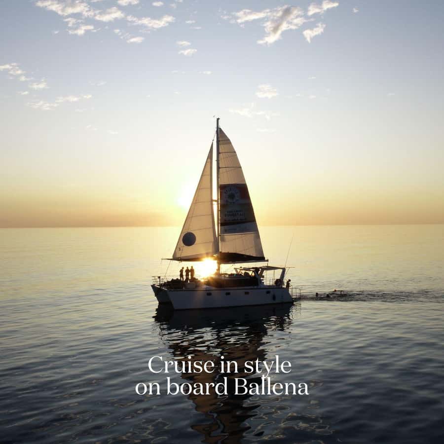 Broome's Iconic Catamaran Sunset Cruise - What you might see from the water